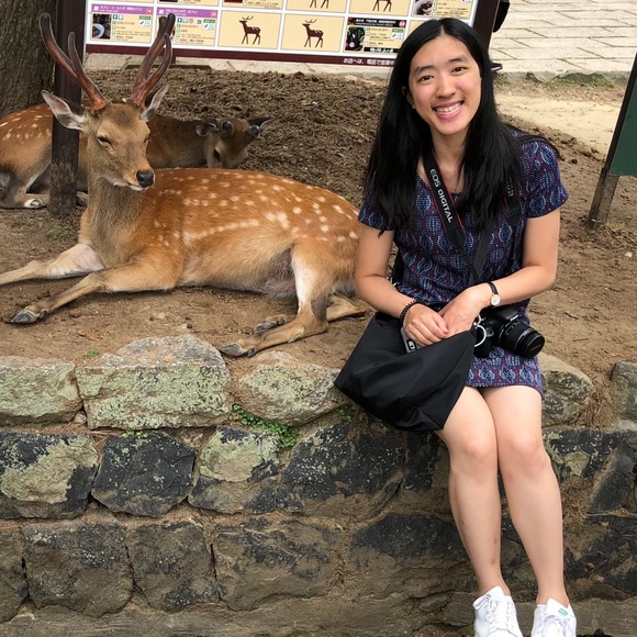 Mango Red and Blue Patterned Shirt Dress - Picture 6 of 7